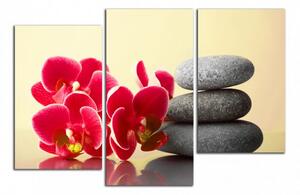 Obraz na plátně Orchideje a zen kameny