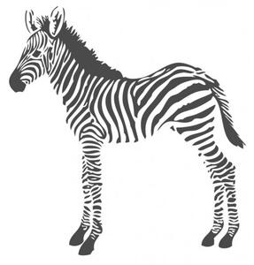Vliesová obrazová tapeta - zebra 357217, 150x279cm, Precious, Origin