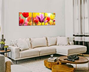 Obraz na plátně Barevné tulipány panorama