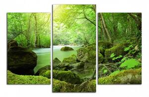 Obraz na zeď Zelený les a řeka