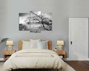 Obraz na stěnu Černobíly obraz Strom a hory