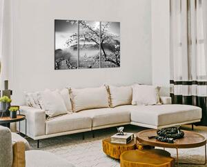 Obraz na stěnu Černobíly obraz Strom a hory