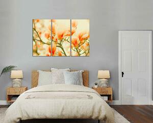 Obraz na plátně Oranžové květy na stromě