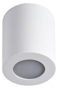 Kanlux 29241 - Koupelnové stropní svítidlo SANI 1xGU10/10W/230V IP44 bílá