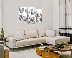Moderní obraz Černobílé tulipány