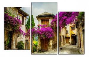 Moderní obraz Provence