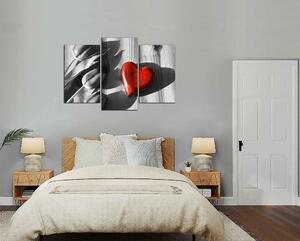 Obraz na stěnu Srdce a tulipány