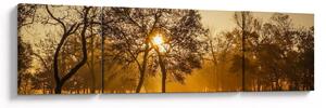 Obraz - Východ slunce (170x50 cm)