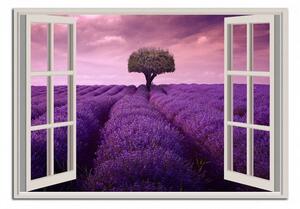 Obraz na plátně Okno do Provence