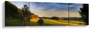 Obraz - Horská louka (170x50 cm)