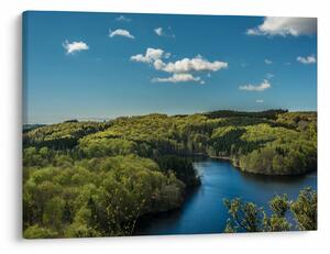 Obraz - Jezero v lesích (70x50 cm)