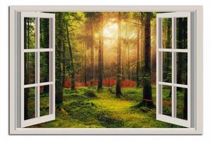 Obraz na stěnu Okno do lesa