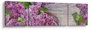 Obraz - Šeřík (170x50 cm)