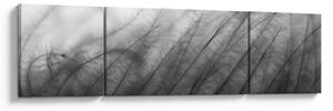Obraz - Tráva ve větru (170x50 cm)