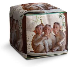 Sablio Taburet Cube Opičky - 40x40x40 cm