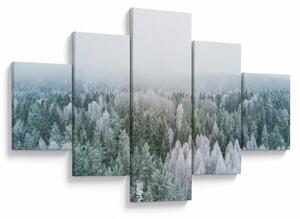 Obraz - Zasněžené vrcholky lesů (125x70 cm)