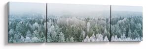 Obraz - Zasněžené vrcholky lesů (170x50 cm)