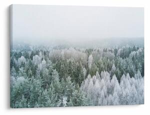Obraz - Zasněžené vrcholky lesů (70x50 cm)