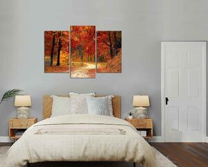 Obraz do bytu Cesta podzimním lesem