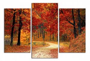 Obraz do bytu Cesta podzimním lesem