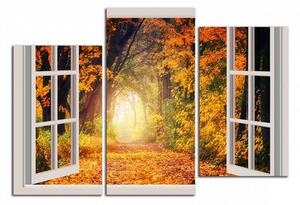 Obraz na plátně Okno do podzimního lesa