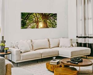 Moderní obraz Dva stromy panorama