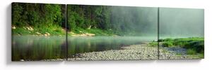 Obraz - Řeka u lesa (170x50 cm)