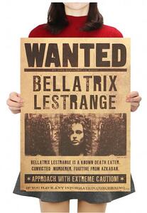 Plakát Bellatrix Lestrange, Harry Potter č.107, 42 x 30 cm
