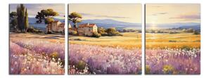Obraz na zeď Západ slunce v Provence