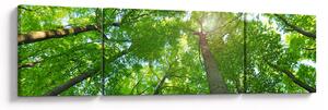 Obraz - Les (170x50 cm)