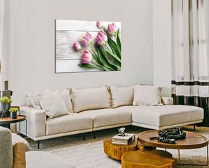 Obraz na plátně Růžové tulipány