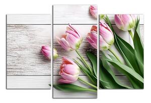 Obraz na plátně Růžové tulipány
