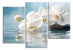 Obraz na plátně Bílé orchideje ve vodě
