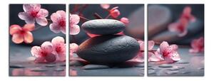 Moderní obraz Kameny a růžové květy