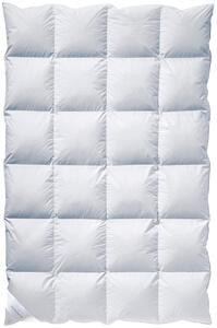 ZIMNÍ PŘIKRÝVKA, 135/200 cm, kachní prachové peří, kachní peří Billerbeck - Přikrývky, Online Only