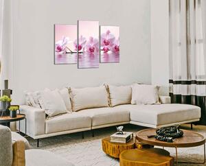 Obraz do bytu Růžové orchideje