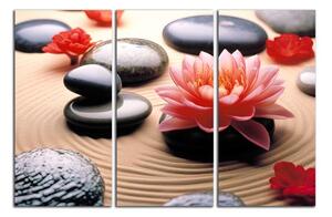Obraz na plátně Květ a zen kameny