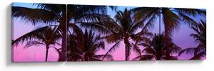 Obraz - Palmy v Miami (170x50 cm)