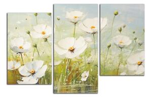 Obraz na plátně Bílé květy na louce
