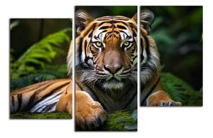 Obraz na plátně Tygr v džungli