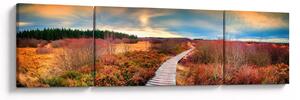 Obraz - Podzimní cesta krajinou (170x50 cm)