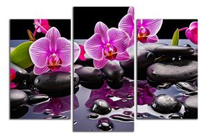 Moderní obraz Orchideje a černé kameny
