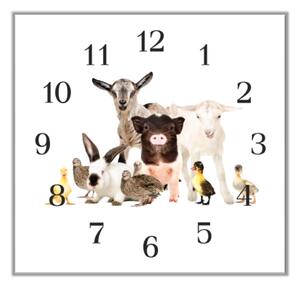 Nástěnné hodiny 30x30cm domácí zvířata, farma - plexi