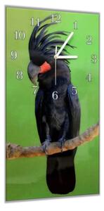 Nástěnné hodiny 30x60cm papoušek kakadu palmový - plexi