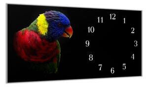 Nástěnné hodiny 30x60cm papoušek lori mnohobarevný - plexi
