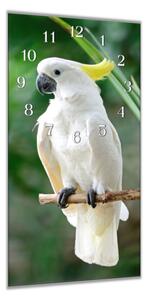 Nástěnné hodiny 30x60cm papoušek kakadu - plexi
