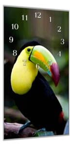 Nástěnné hodiny 30x60cm papoušek tukan - plexi