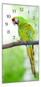 Nástěnné hodiny 30x60cm papoušek ara zelený - plexi