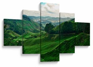 Obraz - Čajové plantáže v Malajsii (125x70 cm)