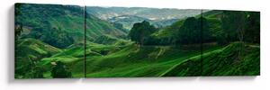 Obraz - Čajové plantáže v Malajsii (170x50 cm)